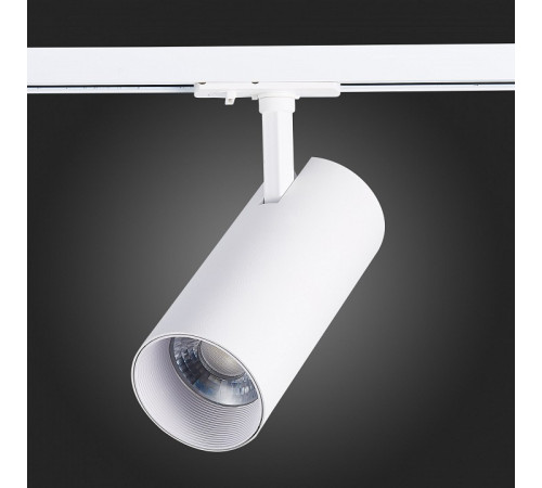 Трековый светильник ST LUCE MONO ST350.546.30.36