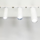 Трековый светильник Citilux Тубус CL01T180N