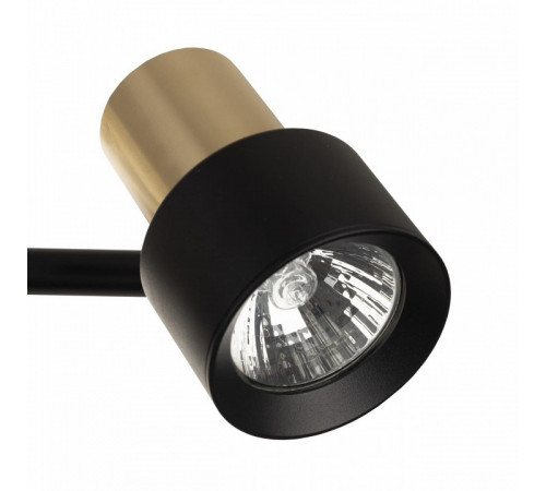 Спот Citilux Sat CL505641 Спот Citilux Sat CL505641