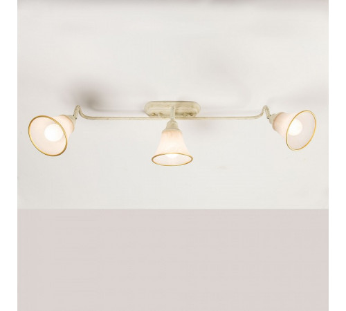 Спот Citilux Прованс CL511534