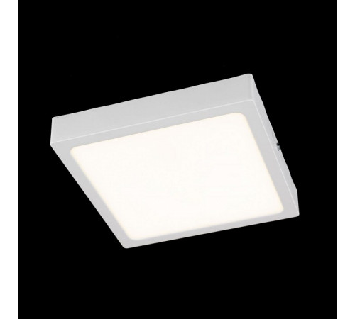 Накладной светильник Citilux Галс CL55K22N