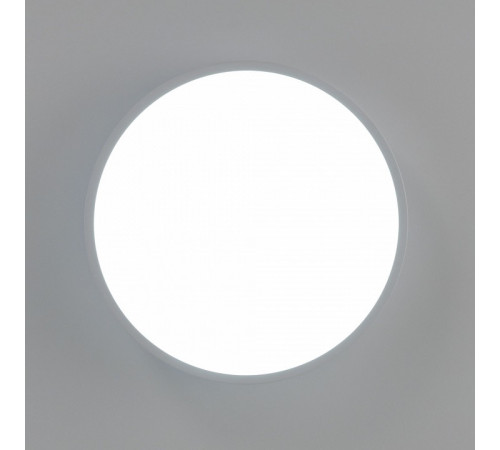 Потолочный светильник Citilux Купер CL72424V0