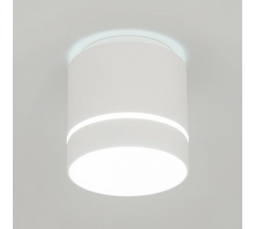 Накладной светильник Citilux Борн CL745020N