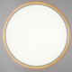 Потолочный светильник Citilux Norma LED RGB CL749600