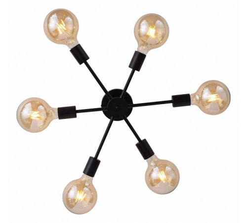 Потолочная люстра ST Luce Ano SL419.402.06