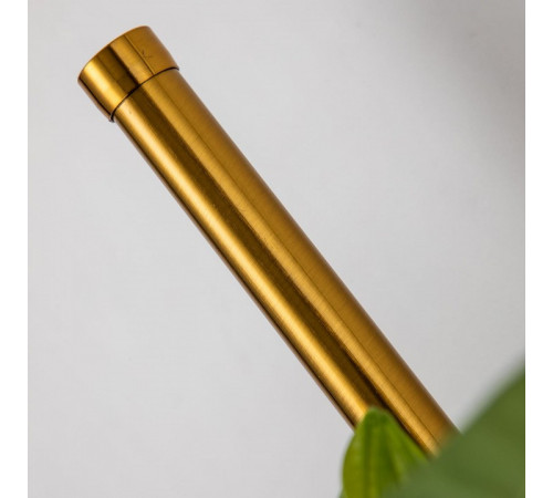 Настенный светильник Favourite Greenery 4050-2W