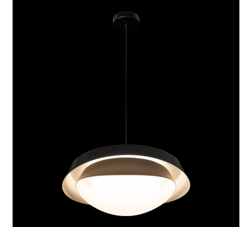 Подвесной светильник Loft IT Petale 10256P Black Подвесной светильник Loft IT Petale 10256P Black