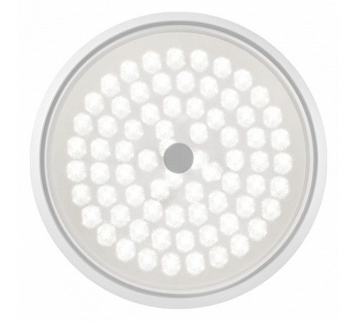 Потолочный светильник Freya Cells FR10012CL-L24W
