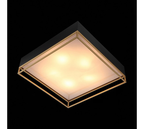 Накладная люстра ST-Luce SL1127.422.05