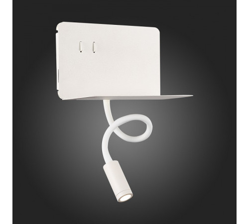 Настенный светильник ST LUCE PINAGGIO SL1576.501.02 Настенный светильник ST LUCE PINAGGIO SL1576.501.02