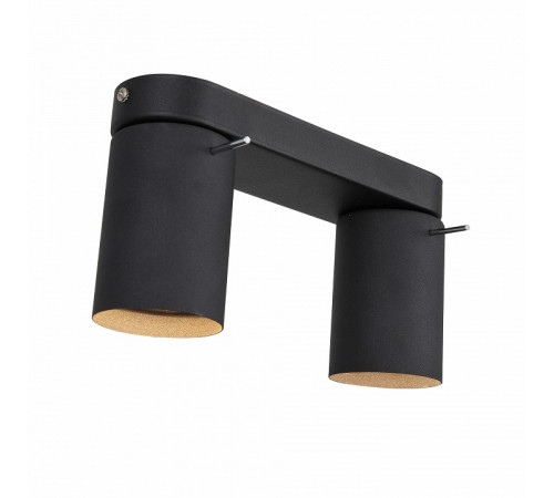 Светодиодный спот ST Luce Fanale SL597.401.02 Светодиодный спот ST Luce Fanale SL597.401.02