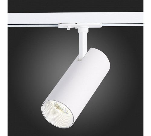 Трековый светильник ST LUCE MONO ST350.536.20.36