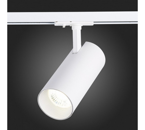 Трековый светильник ST LUCE MONO ST350.536.30.36