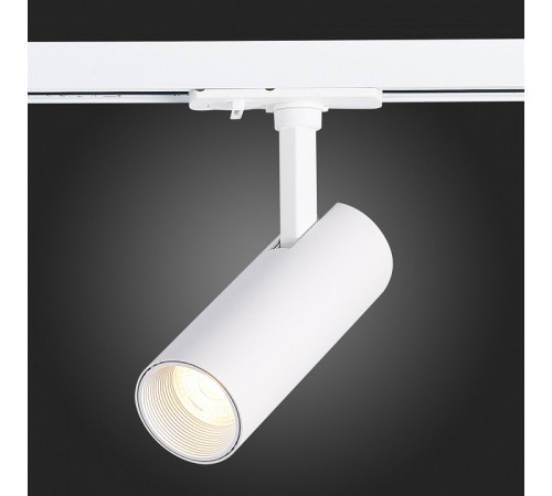 Трековый светильник ST LUCE MONO ST350.546.10.36
