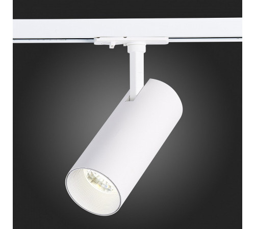 Трековый светильник ST LUCE MONO ST350.546.20.36