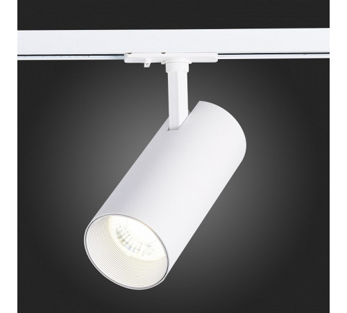 Трековый светильник ST LUCE MONO ST350.546.30.36