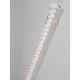 Светодиодный светильник для растений (UL-00007514) Uniel ULI-P13-35W/SPLE IP40 White