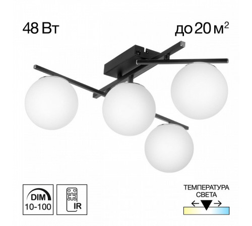 Настенно-потолочный светильник Citilux Dorsy CL223142 Настенно-потолочный светильник Citilux Dorsy CL223142