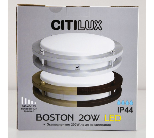 Настенно-потолочный светильник Citilux Бостон CL709201N