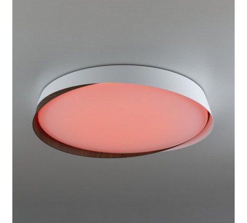 Потолочный светильник Citilux Bonny CL754450G Потолочный светильник Citilux Bonny CL754450G