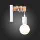 Настенный светильник EVOLUCE BAGETTI SL1142.501.01