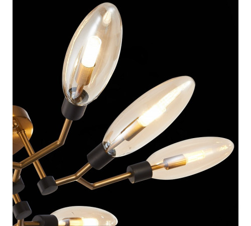 Потолочная люстра ST LUCE DESIMA SL1174.302.08