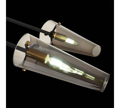 Люстра на штанге ST Luce Morave SL1209.302.06