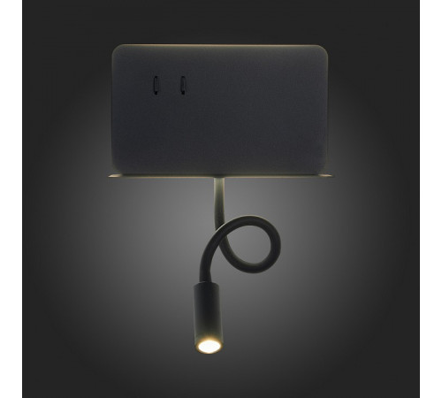 Настенный светильник ST LUCE PINAGGIO SL1576.401.02 Настенный светильник ST LUCE PINAGGIO SL1576.401.02