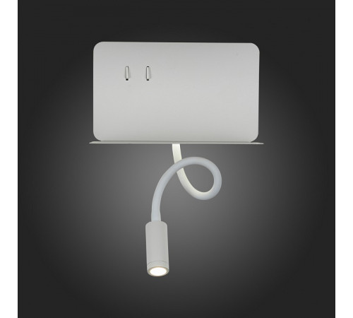 Настенный светильник ST LUCE PINAGGIO SL1576.501.02 Настенный светильник ST LUCE PINAGGIO SL1576.501.02