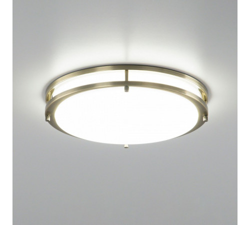 Потолочный светильник Citilux Бостон CL709323N