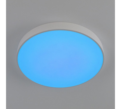 Потолочный светильник Citilux Купер CL72495G0