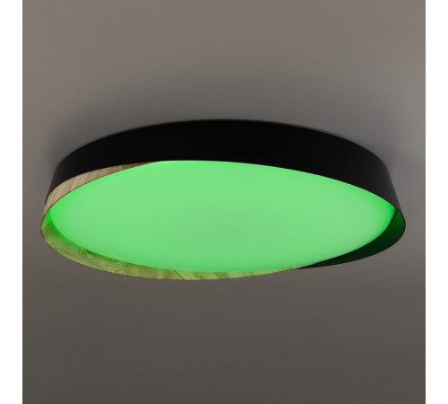 Потолочный светильник Citilux Bonny CL754451G Потолочный светильник Citilux Bonny CL754451G