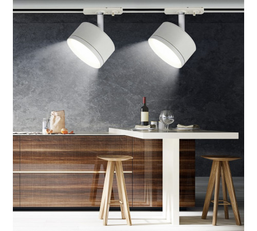 Трековый светильник Эра TR48 - GX53 WH Б0054158