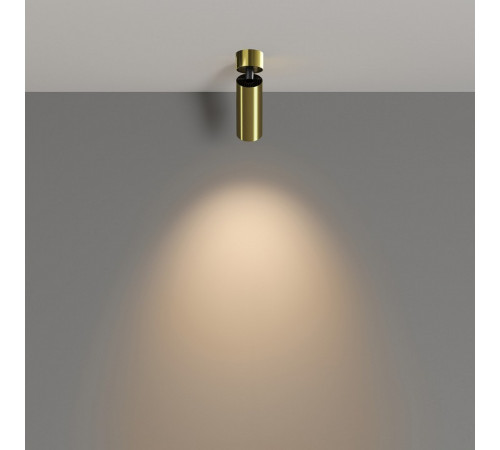 Светодиодный спот Maytoni Technical Focus LED C055CL-L12W3K-W-BS Светодиодный спот Maytoni Technical Focus LED C055CL-L12W3K-W-BS