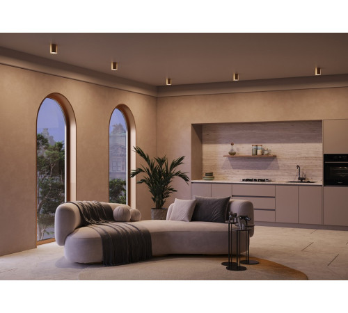 Накладной светильник Maytoni Spark C094-GU10-MG