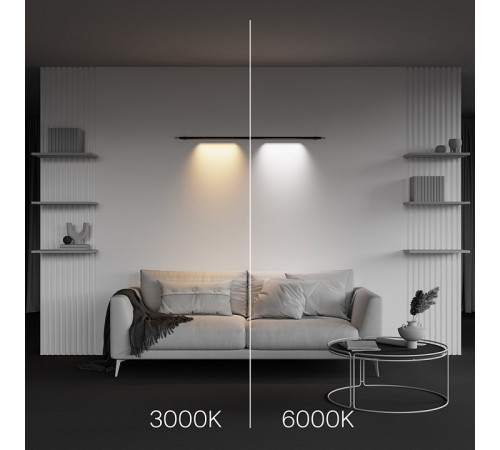 Трековый светильник Maytoni Points C101CL-L500-12W3-6K-B