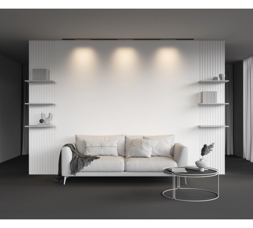 Трековый магнитный светильник Maytoni Basis TR190-1-5W3K-B