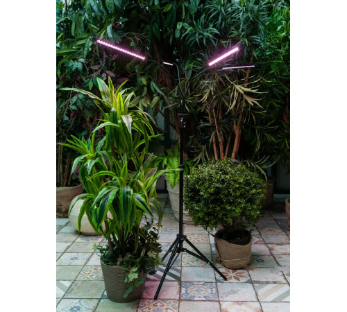 Светодиодный светильник для растений Uniel Minigarden ULT-P32-36W/SPLE/TM/40 IP40 Black Quad UL-00008905