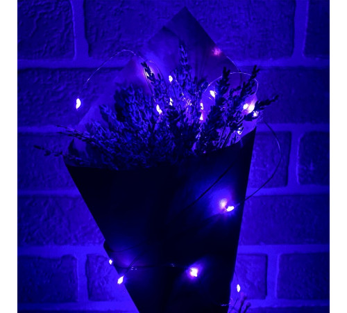Гирлянда Uniel ULD-S0200-020/SСB/2AA PURPLE IP20 DEW UL-00010897 Гирлянда Uniel ULD-S0200-020/SСB/2AA PURPLE IP20 DEW UL-00010897