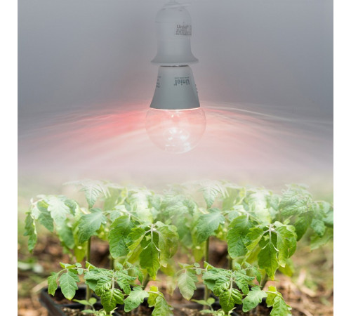 Лампа для растений Uniel LED-A60-10W/SPM3/E27/CL PLP35WH MULTIPLANT UL-00011438 Лампа для растений Uniel LED-A60-10W/SPM3/E27/CL PLP35WH MULTIPLANT UL-00011438