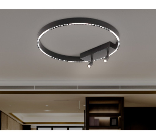 Потолочный светильник Ambrella Light Comfort FL5808 Потолочный светильник Ambrella Light Comfort FL5808