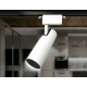 Трековый однофазный светильник Ambrella Light Track System GL5852
