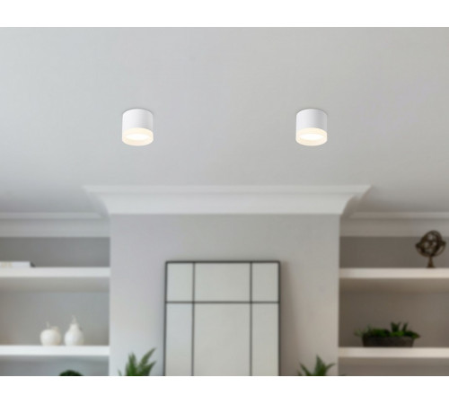 Накладной светильник Ambrella Light Acrylic Frost TN5365 Накладной светильник Ambrella Light Acrylic Frost TN5365