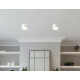 Накладной светильник Ambrella Light Acrylic Frost TN5365