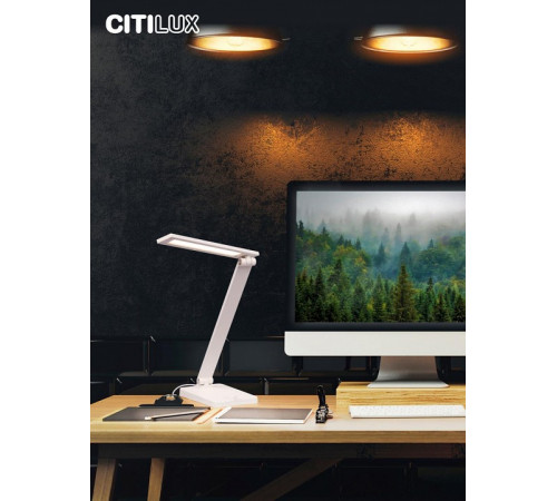 Настольная лампа Citilux Ньютон CL803080 Настольная лампа Citilux Ньютон CL803080