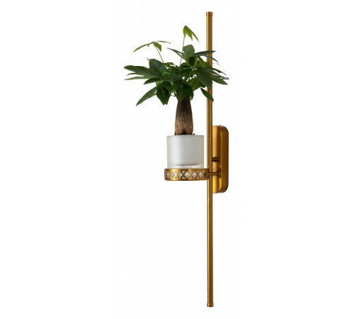 Настенный светильник Favourite Greenery 4050-2W