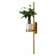 Настенный светильник Favourite Greenery 4050-2W