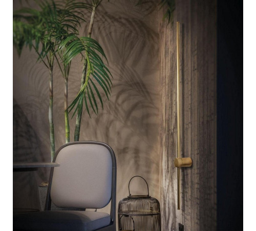 Настенный светильник Loft IT Rays 10159GD