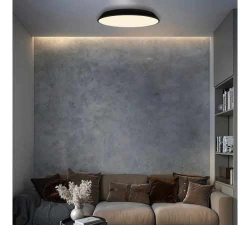 Потолочный светильник Loft IT Brim 10226 Black