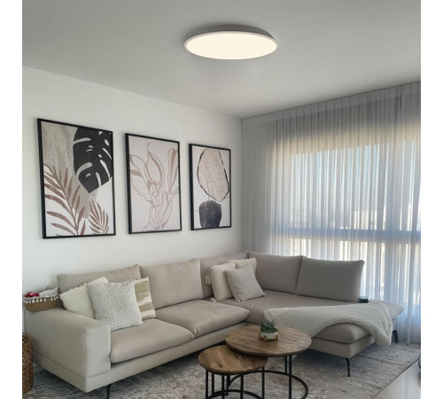 Потолочный светильник Loft IT Brim 10226 White